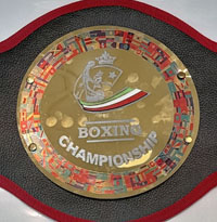 کمربند قهرمانی ساندا  کد 126